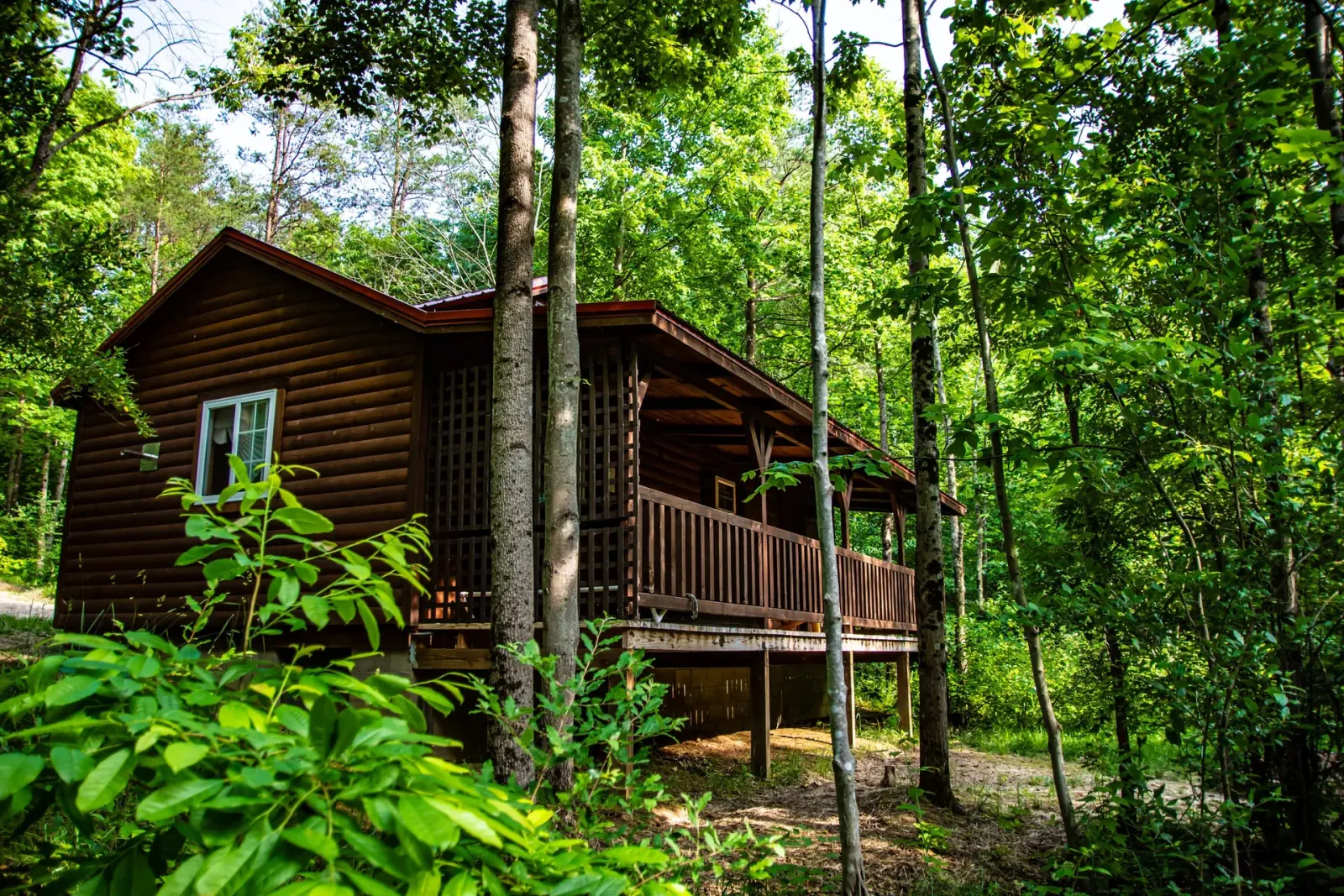 Buckeye Hut cabin at Avenwood Cabins