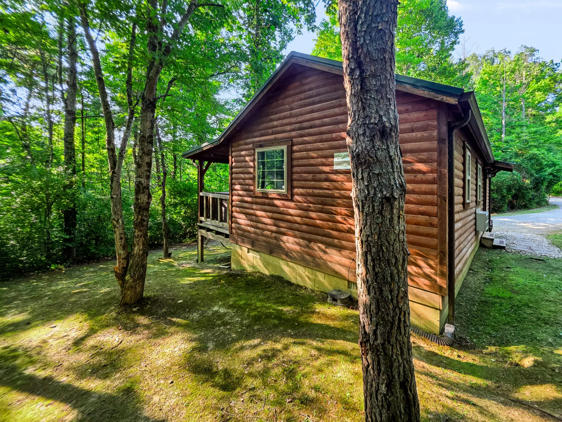 Buckeye Hut log cabin viewed from the wooded lawn beside it