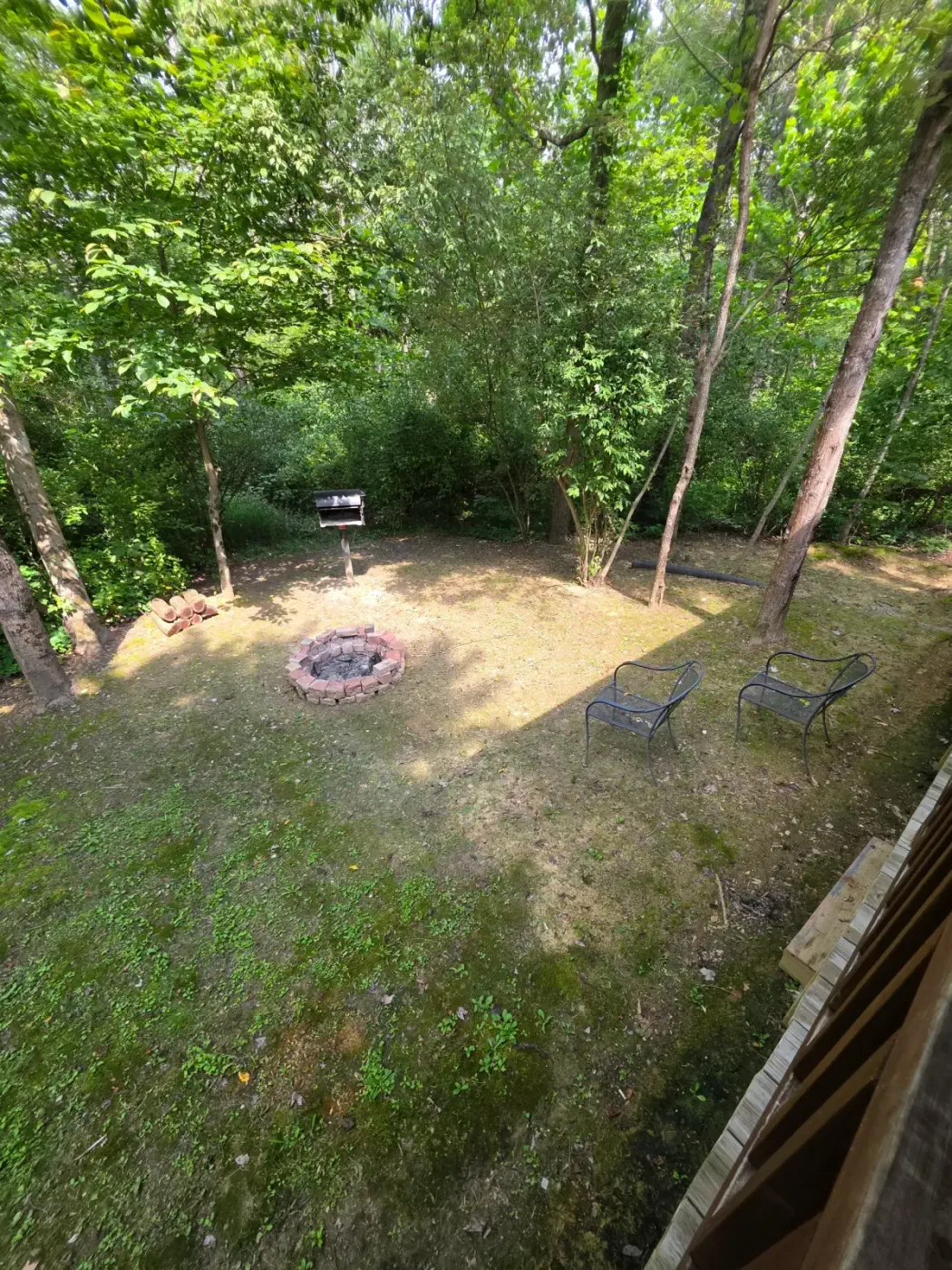 Fire pit in wooded clearing with forest surroundings at Buckeye Hut cabin