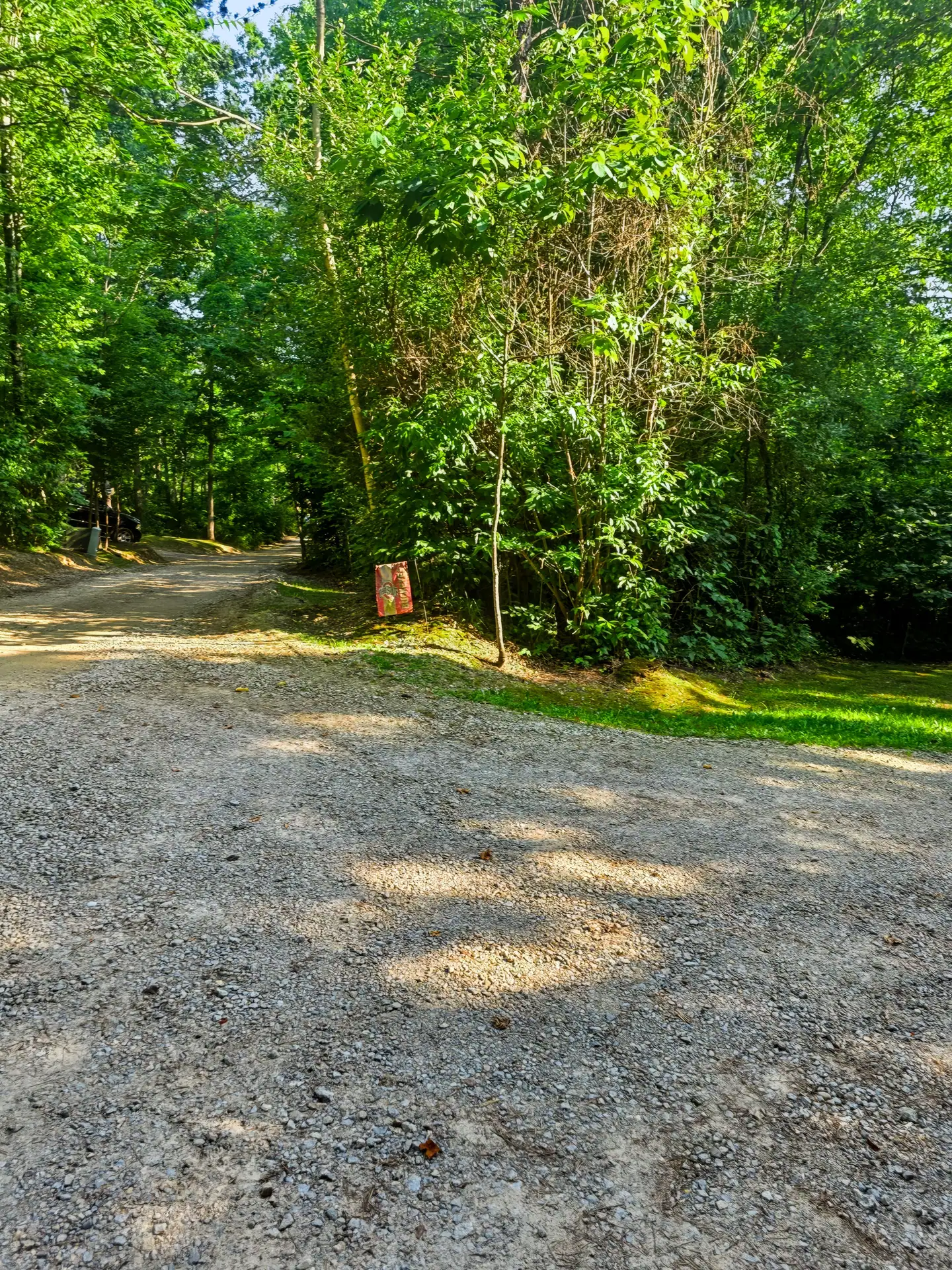 Gravel driveway leading through the woods at Buckeye Hut cabin