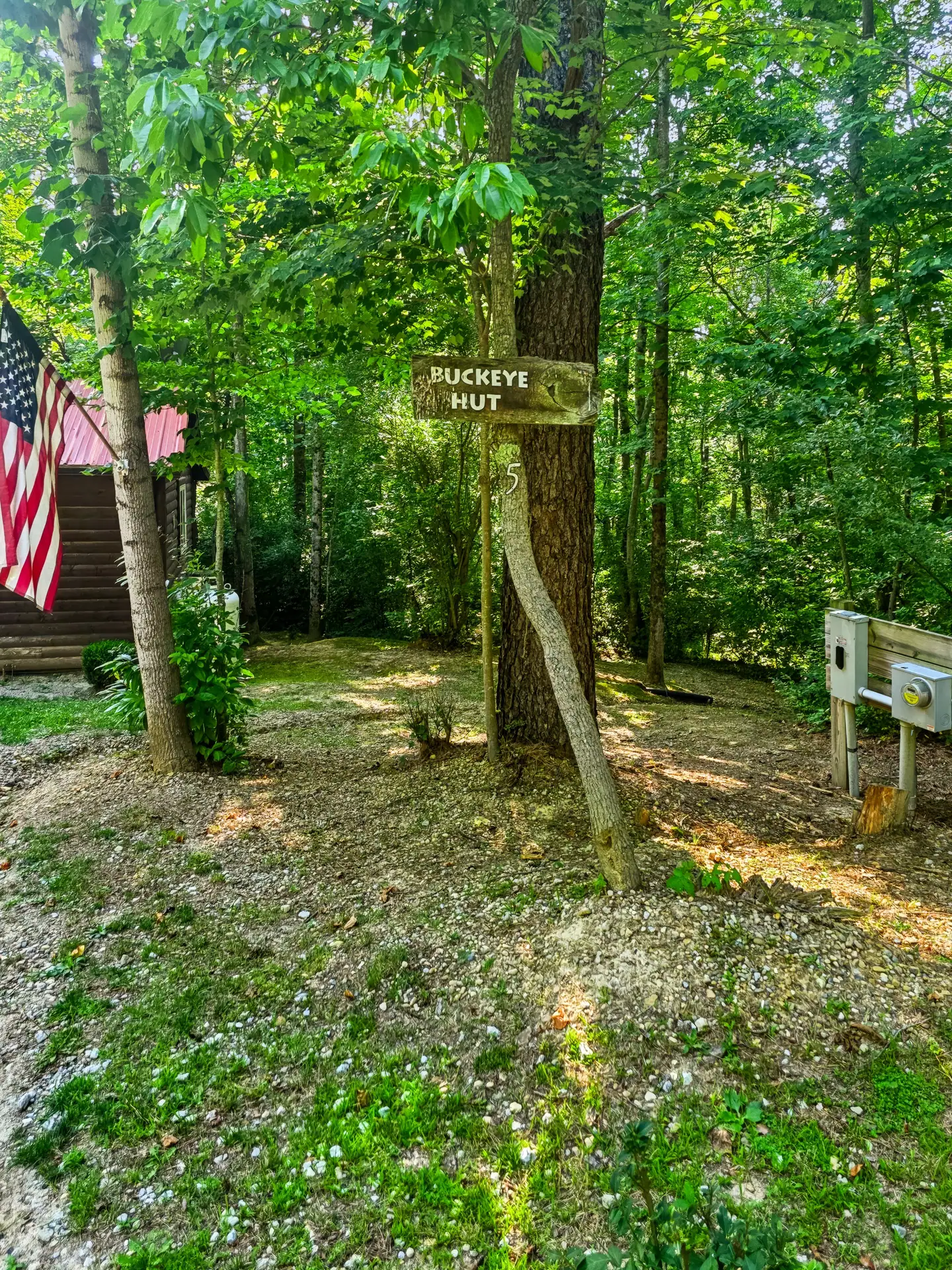 Wooded yard with the Buckeye Hut sign on a tree
