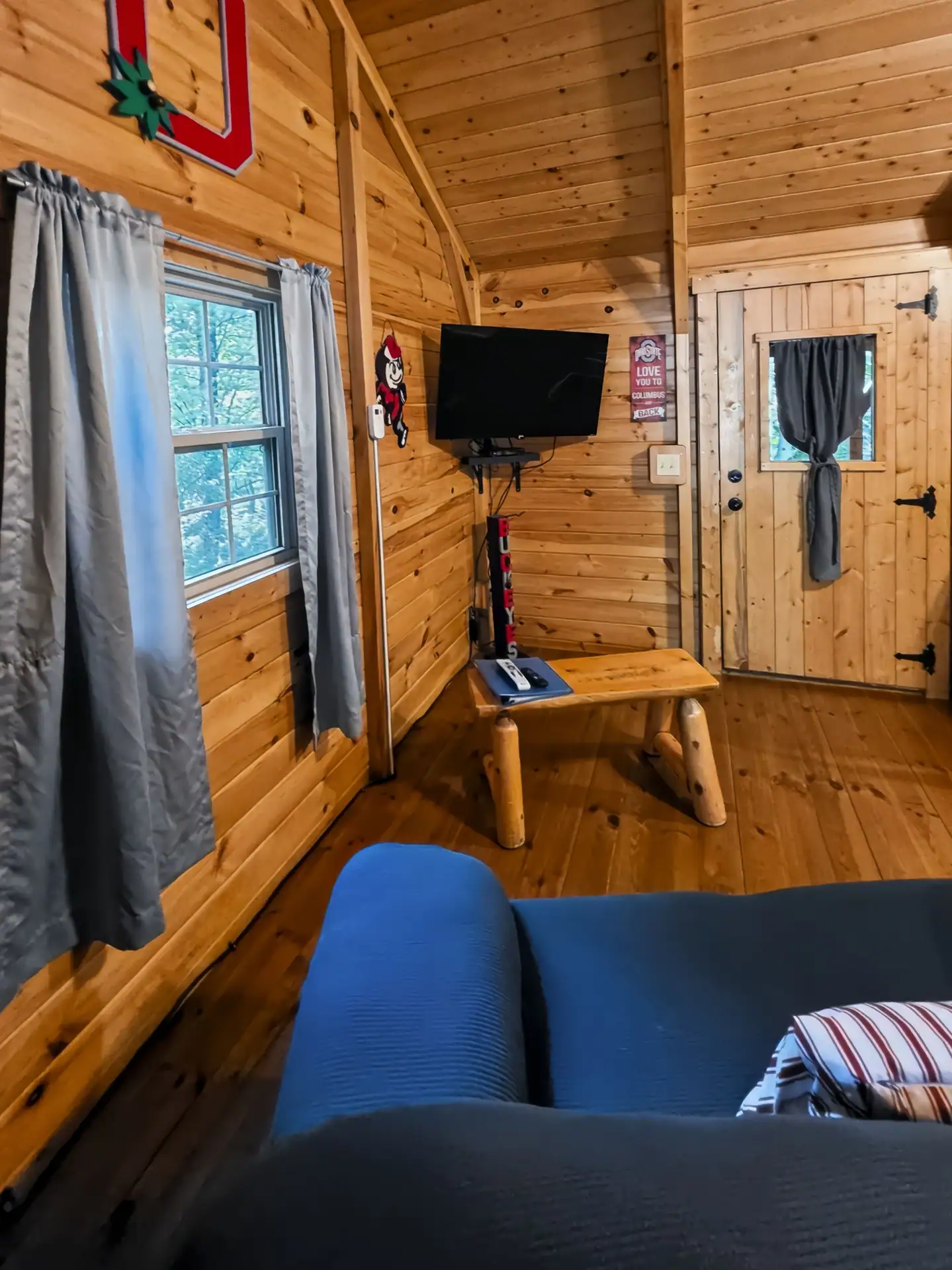 Living room at Buckeye Hut cabin with sofa, log coffee table, and wall-mounted TV