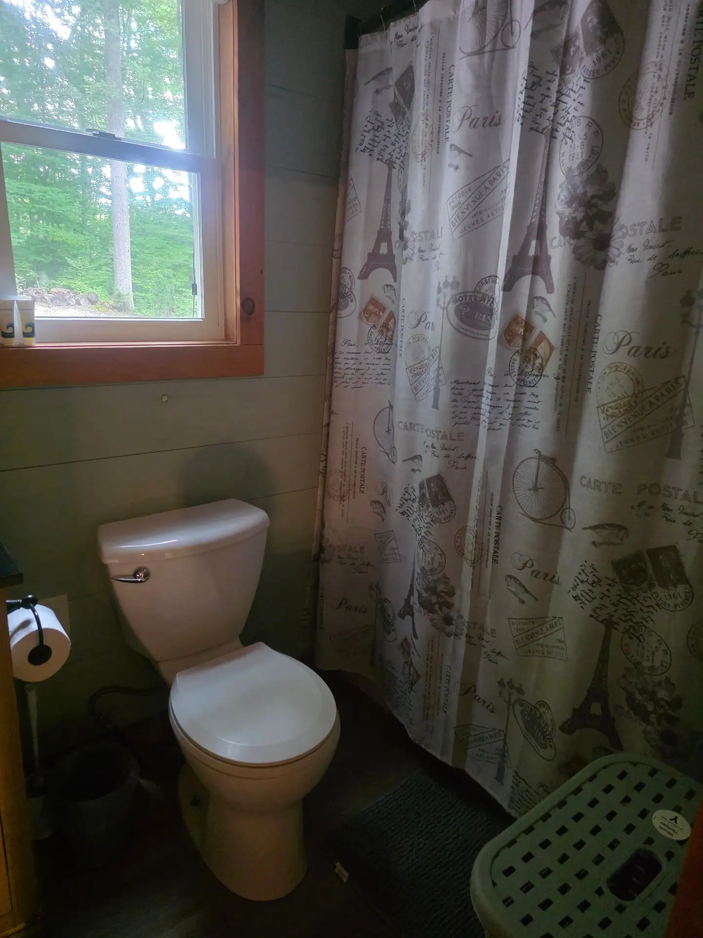 Bathroom with toilet, shower curtain and window at Dogwood Run cabin