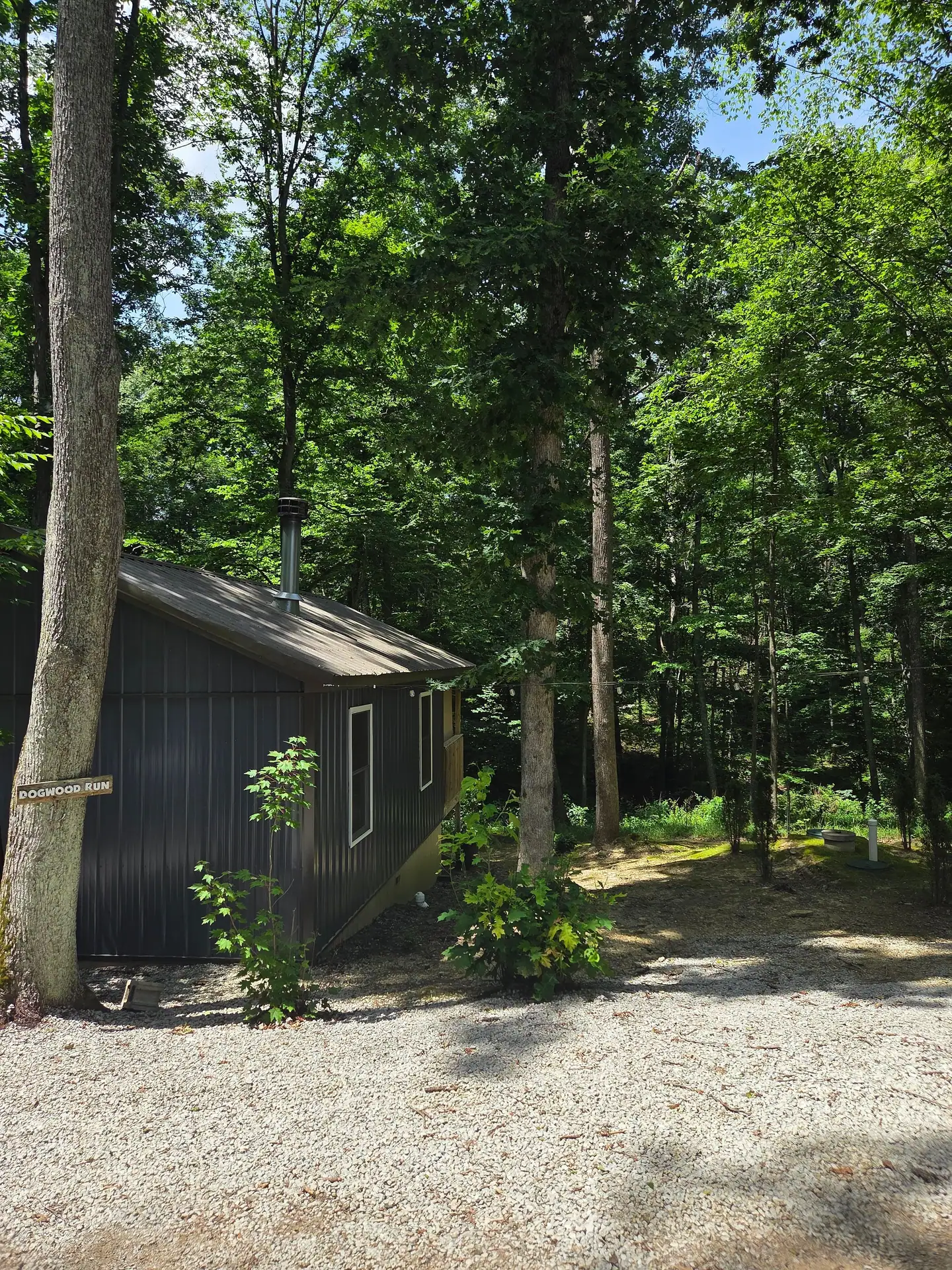 Dogwood Run cabin seen from the gravel driveway under a green forest canopy