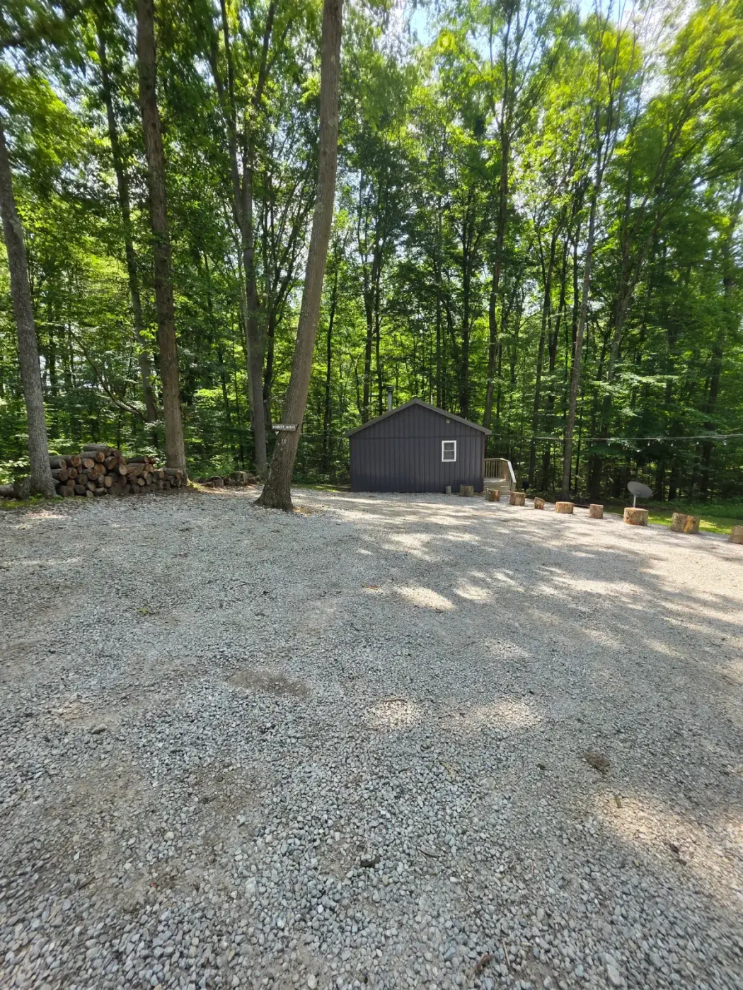 Dogwood Run cabin seen from the gravel driveway with lush green forest