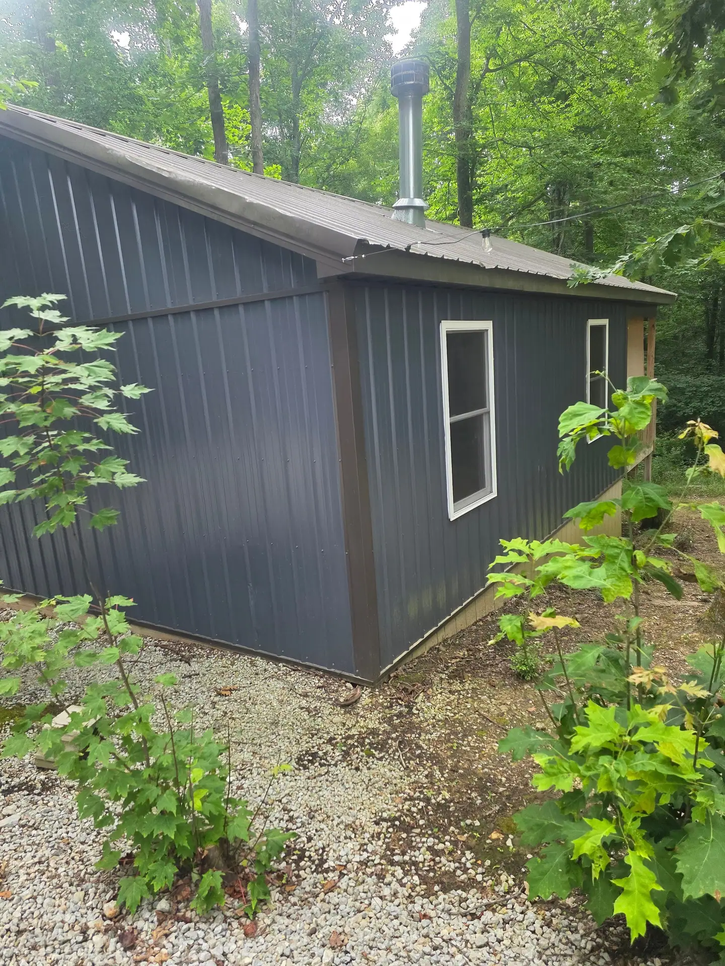 Back corner of Dogwood Run cabin with navy siding and young trees