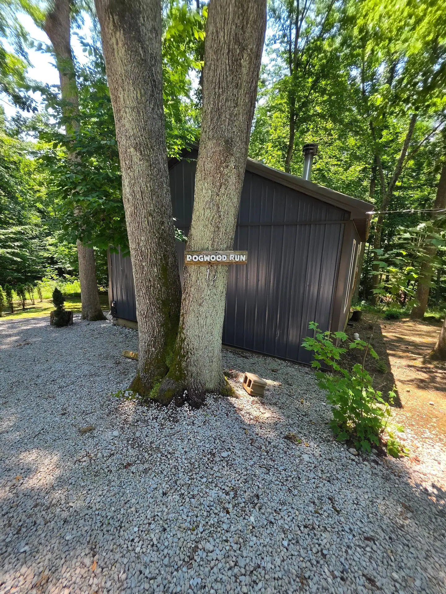 Twin tree trunks with the wooden name sign in front of Dogwood Run cabin