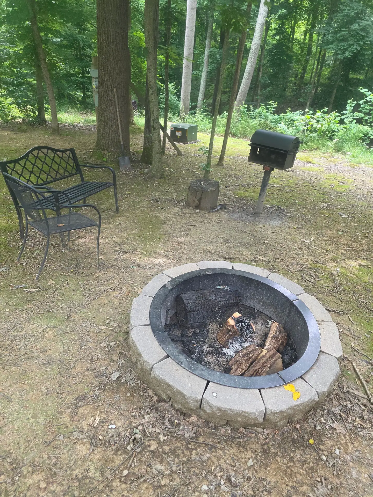 Stone fire pit with firewood and seating in the yard at Dogwood Run cabin