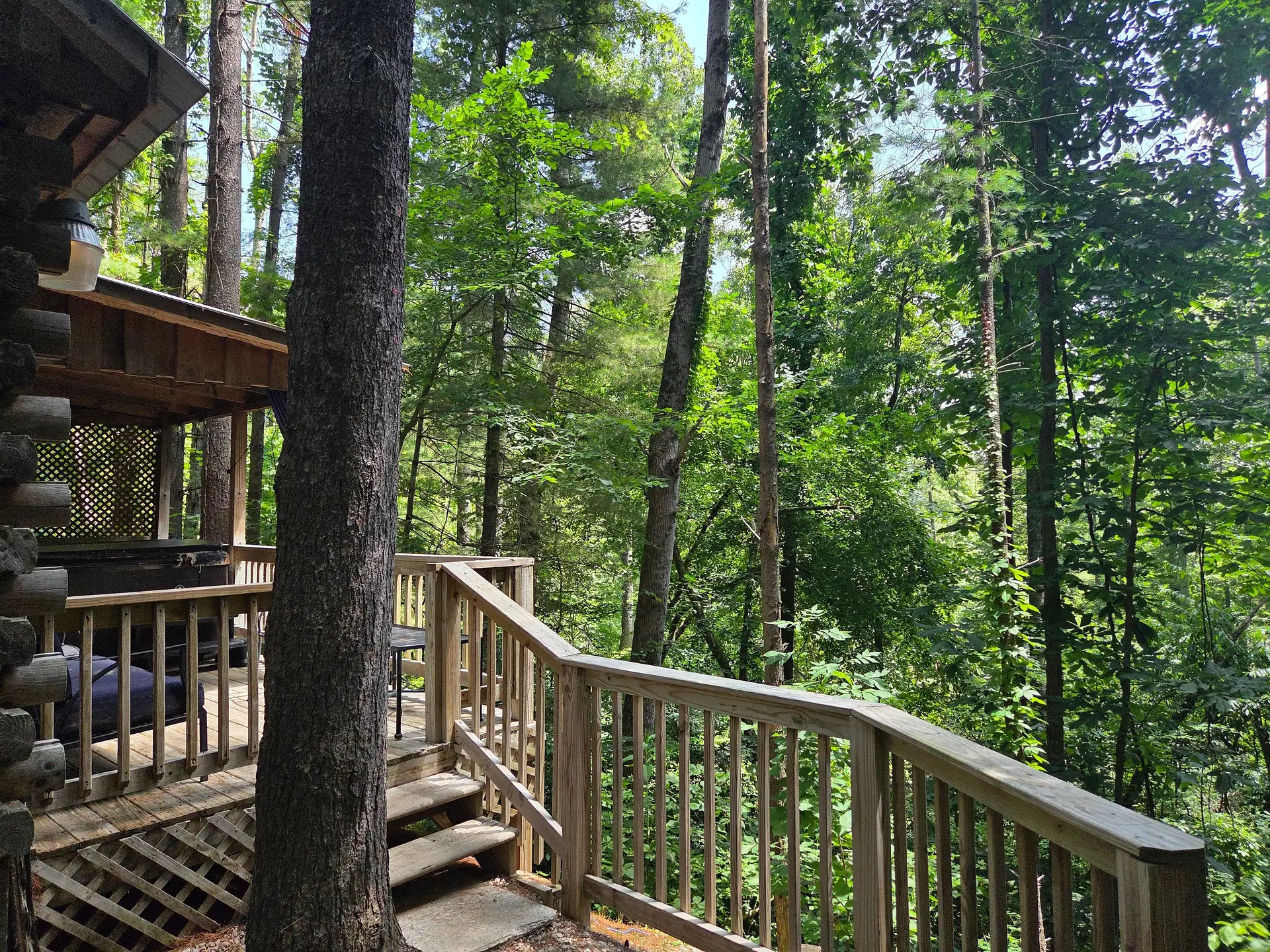 Wooden stairs leading up to the covered deck at Eagles Nest cabin among tall trees