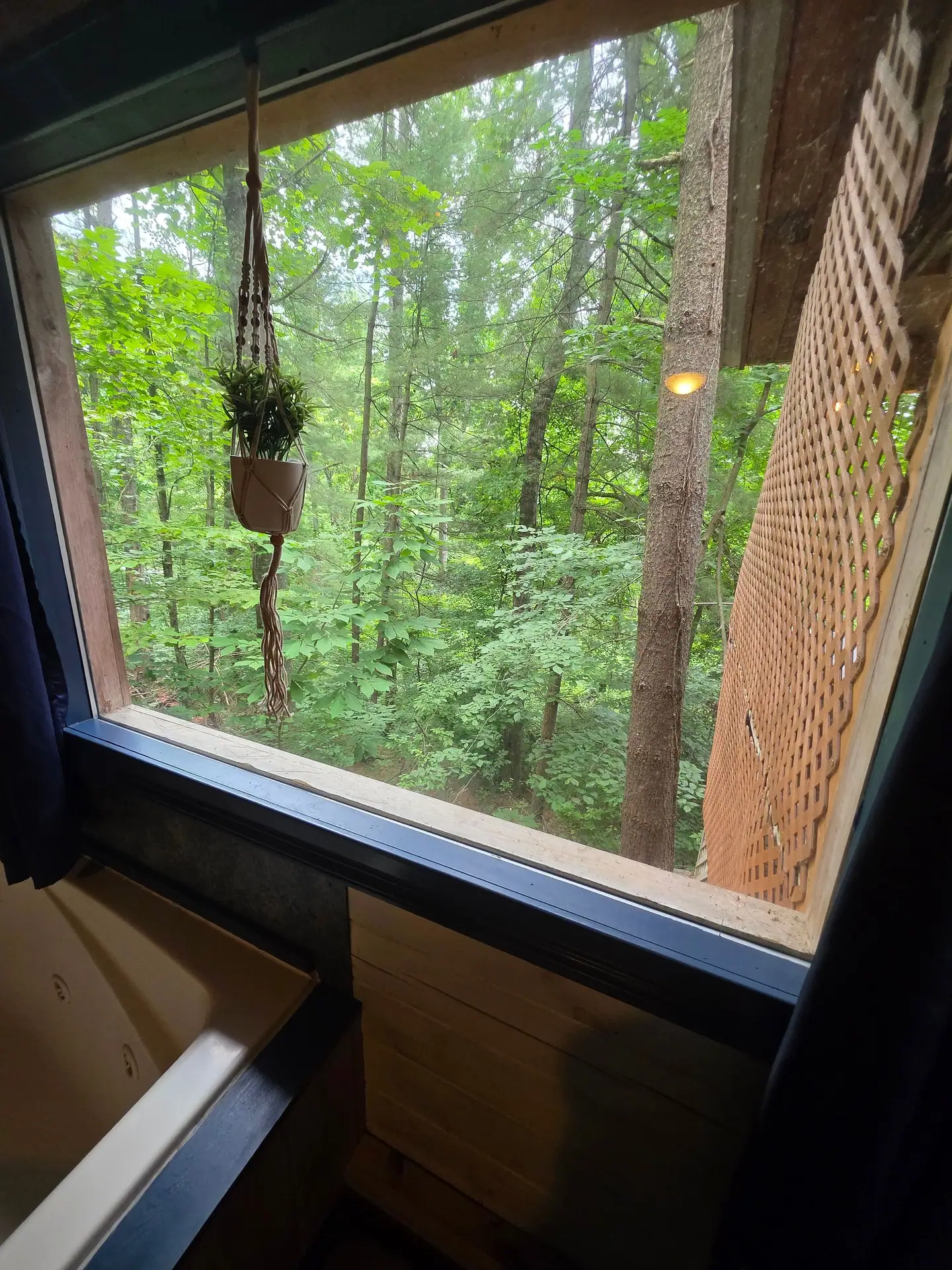 Forest view through the window above the jacuzzi tub at Eagles Nest cabin