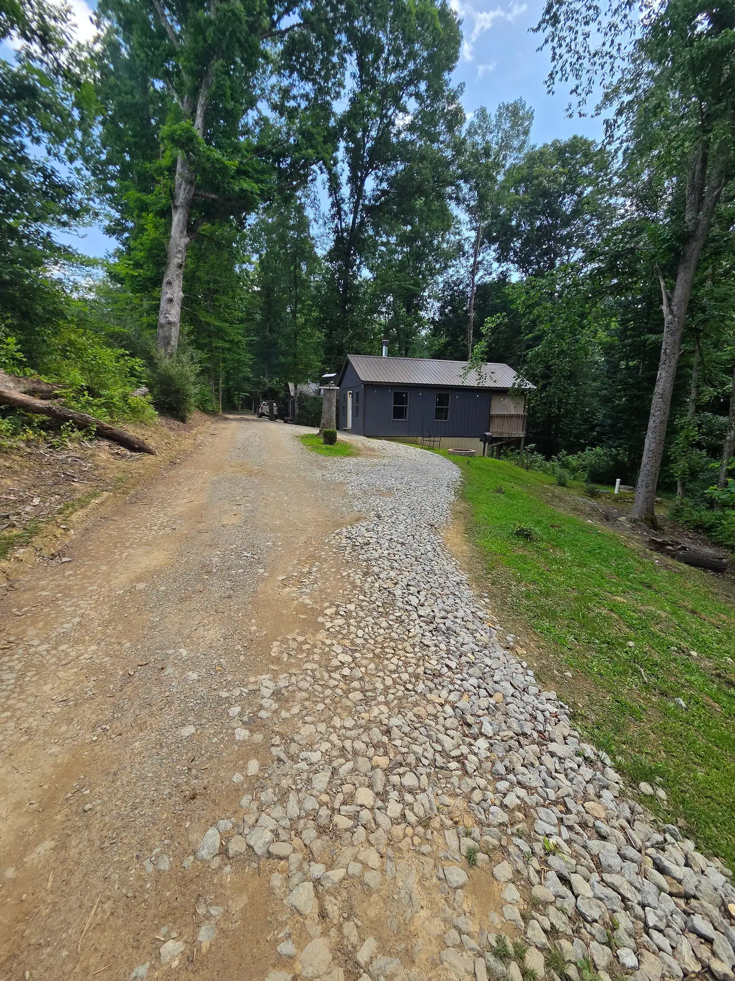 Gravel drive leading through tall trees to Firefly's Landing