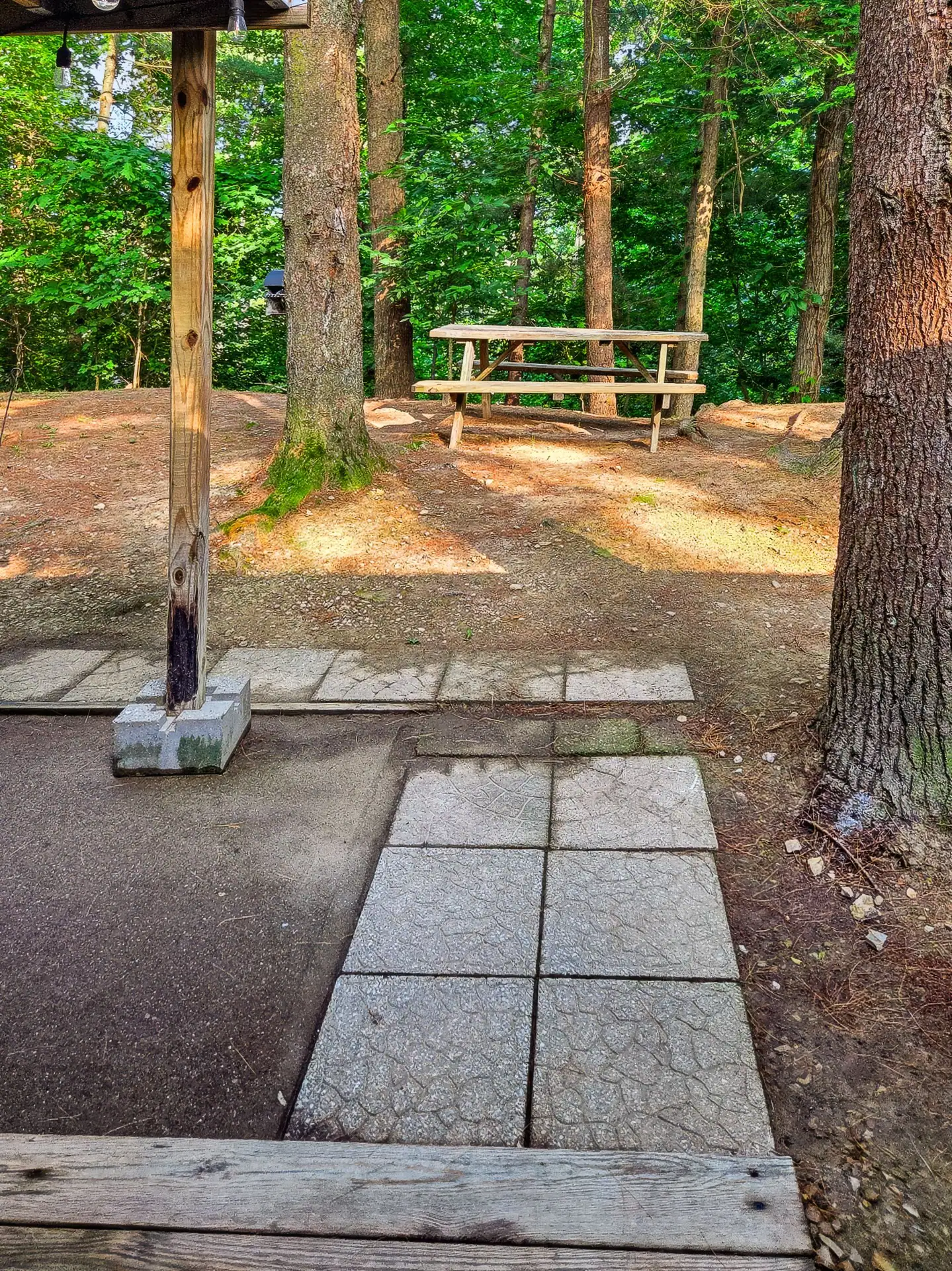Picnic table under tall trees behind The Getaway House.