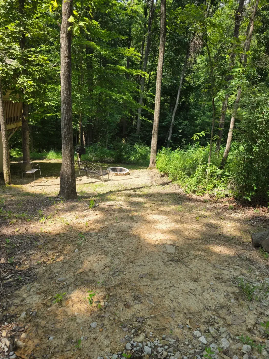 Forest path leading to the hot tub and fire pit area at Hummingbird cabin