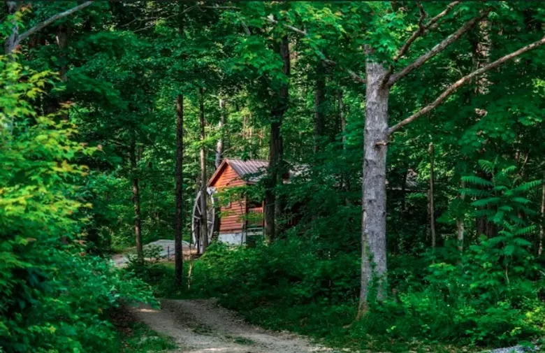 Millers Den cabin seen through the trees along a wooded forest path in Hocking Hills