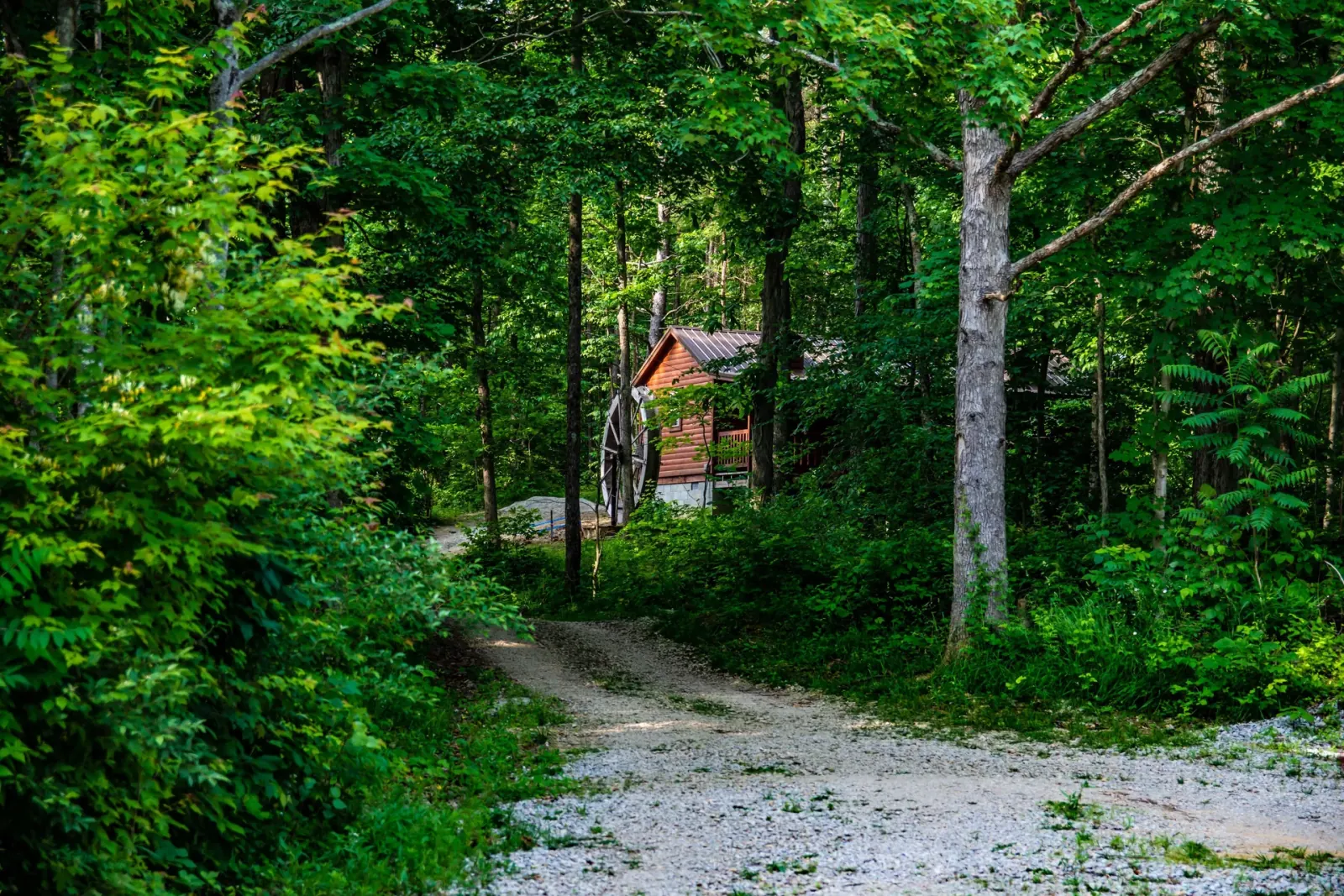 Winding forest driveway leading to Millers Den cabin in Hocking Hills Ohio
