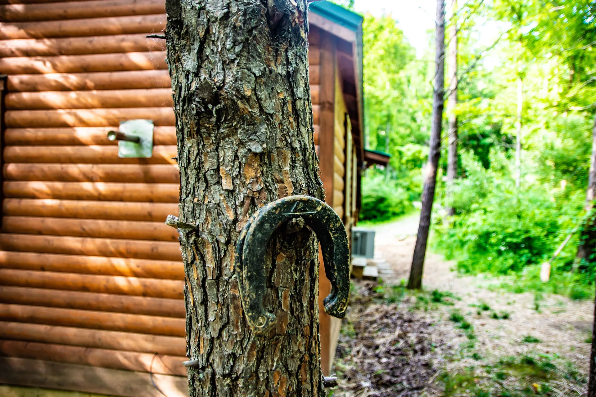 Horseshoe nailed to tree trunk with Millers Den log cabin in the background