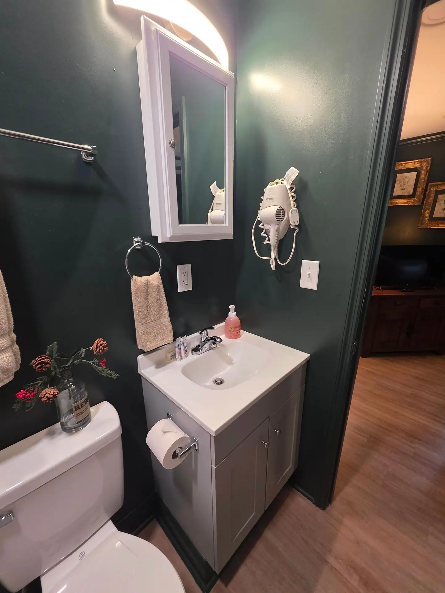 Bathroom vanity with sink, lighted mirror and dark green walls at The Old Moonshiner cabin