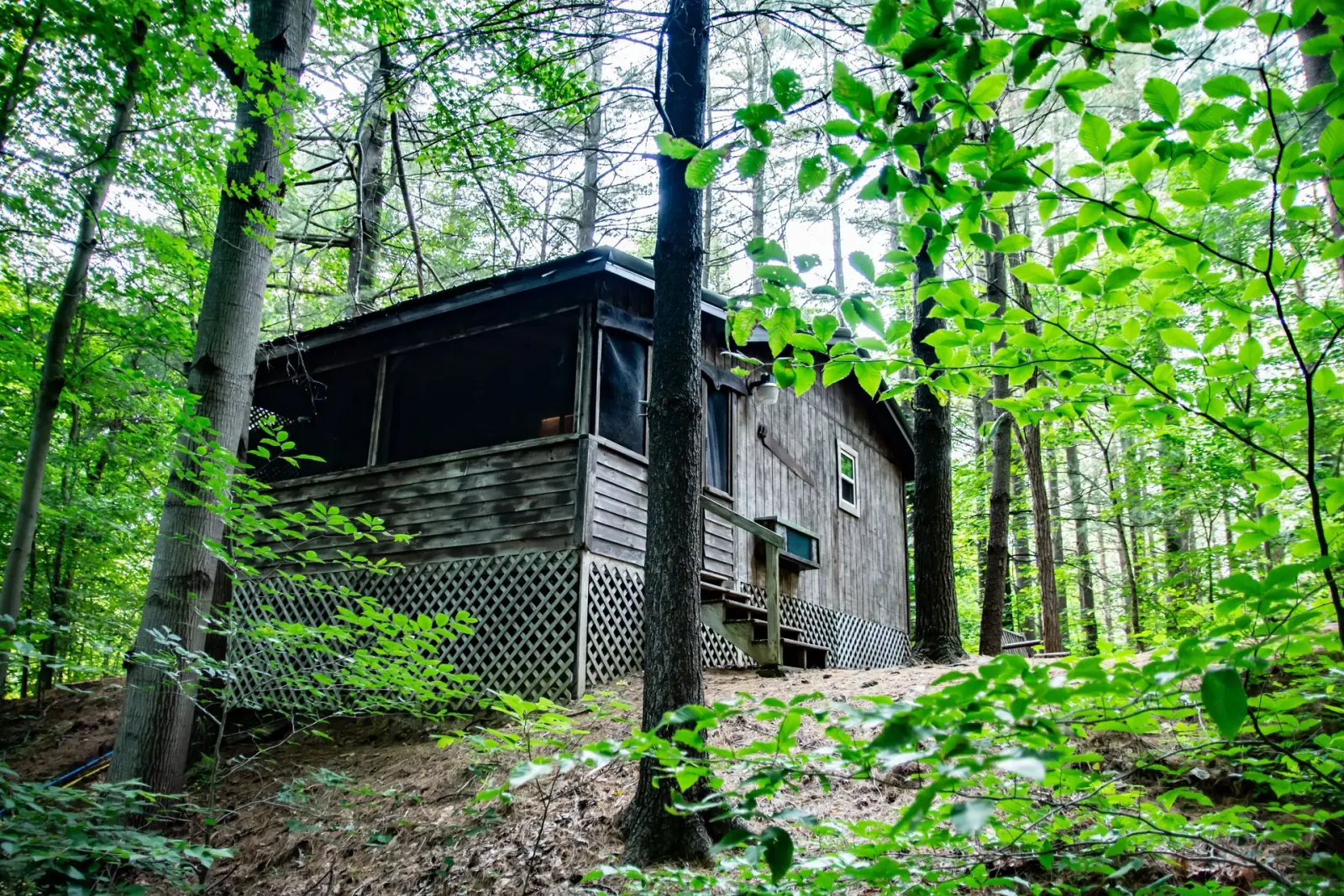 Moonshiner cabin with rustic wood siding tucked into lush green Hocking Hills forest