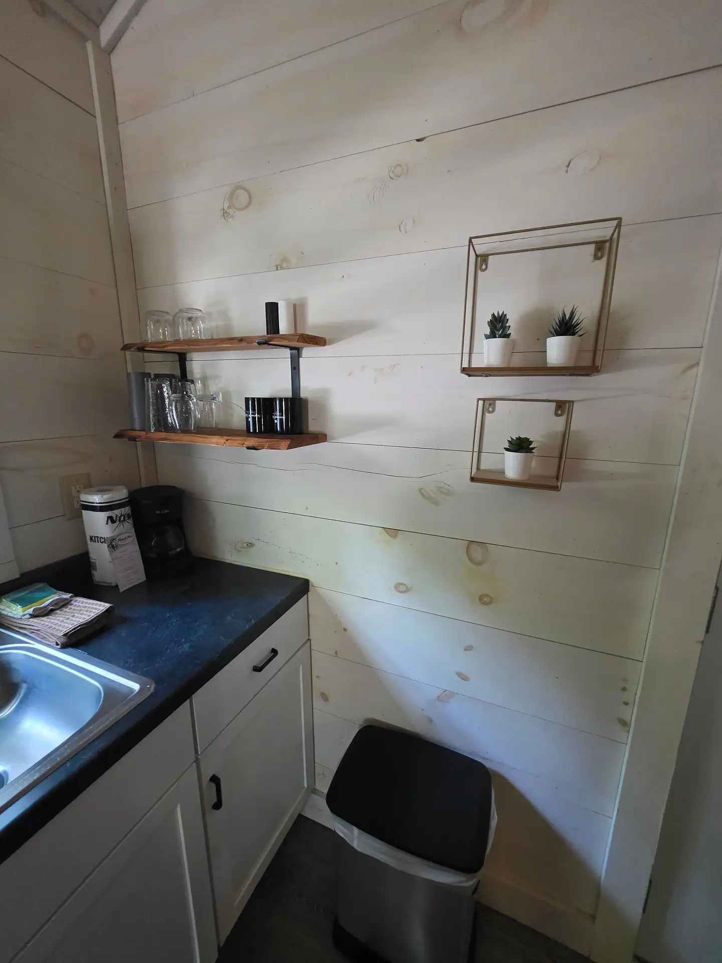 Open shelving with small plants and coffee maker on the shiplap wall at Owl's Tale cabin