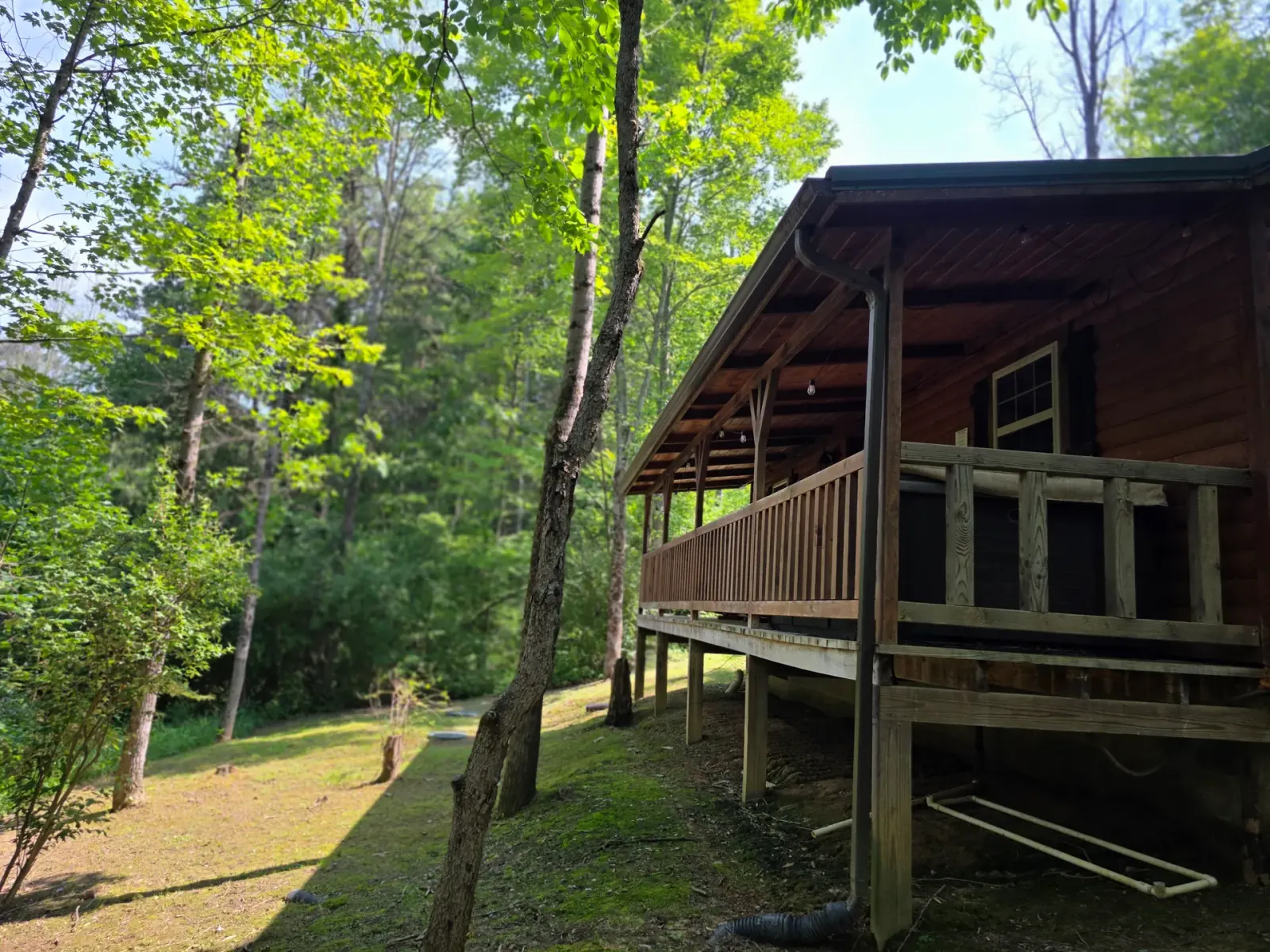 Rear view of Settlers Roost cabin with elevated wooden deck and railing among tall hardwood trees