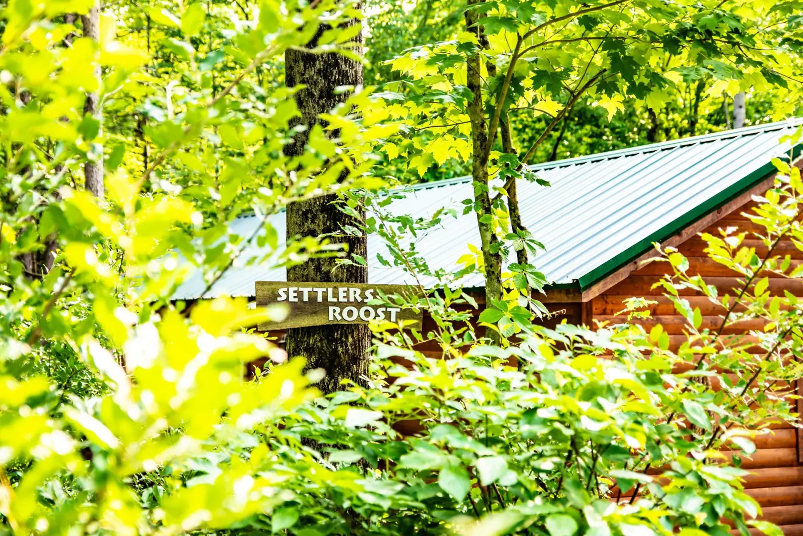Settlers Roost wooden name sign on tree with cabin green metal roof visible through vibrant summer foliage