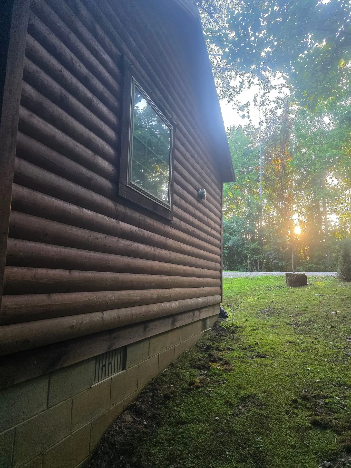 Log siding along the side of Whippoorwill cabin with evening sun through the trees