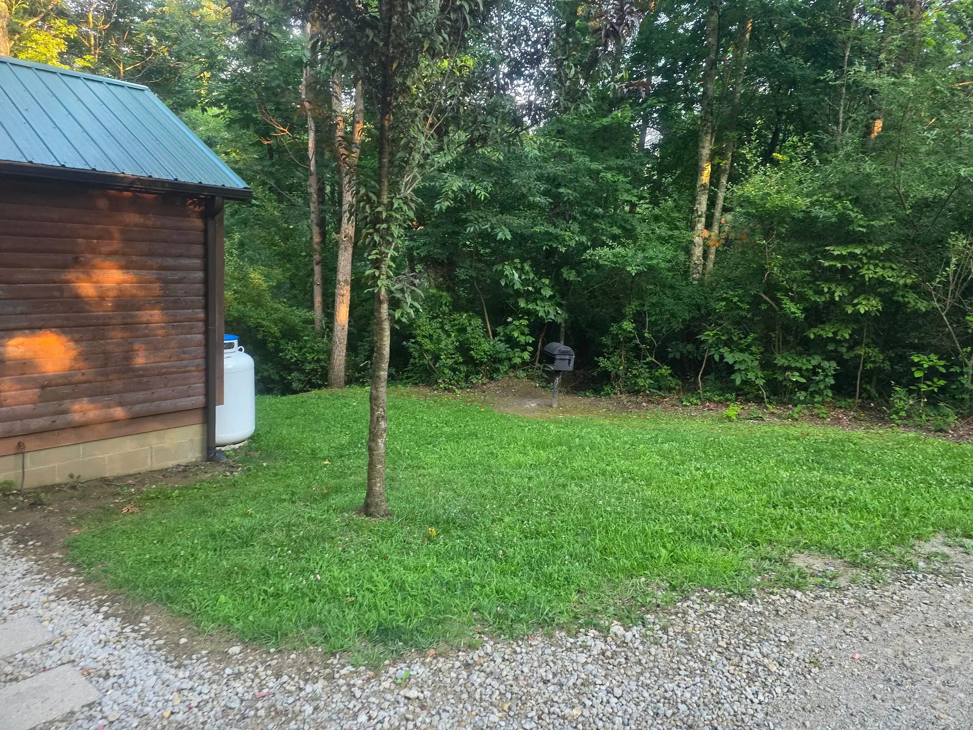 Side yard at Whippoorwill with the charcoal grill at the edge of the woods
