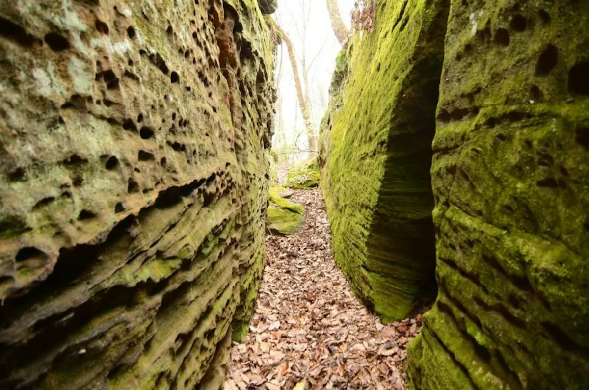 Cantwell Cliffs in Hocking Hills