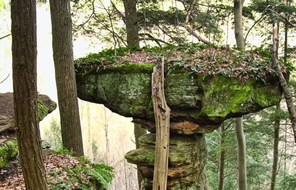 Wayne National Forest in Hocking Hills