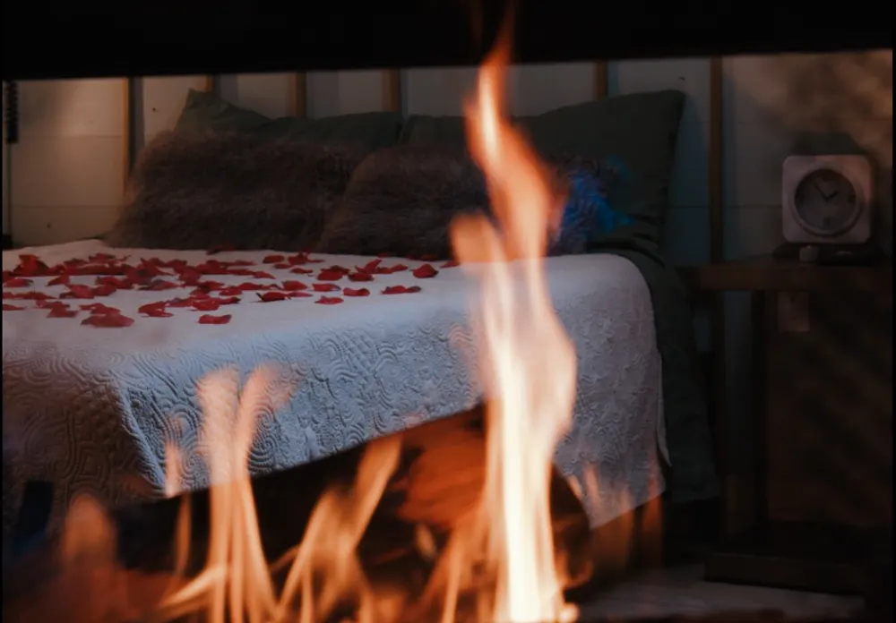 Rose petals scattered across the bed